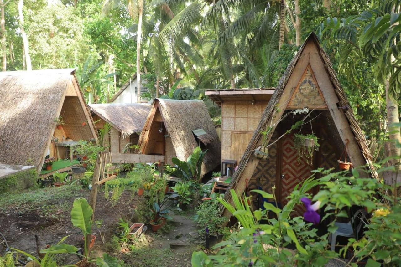 Shukran Apartelle Siquijor Eksteriør billede